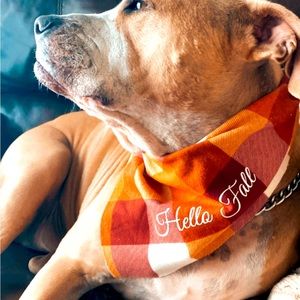 Hello Fall Bandana handmade